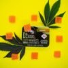 Devour Gummies Tangerine
