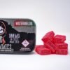 Devour Gummies Watermelon