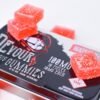 Devour Gummies Watermelon